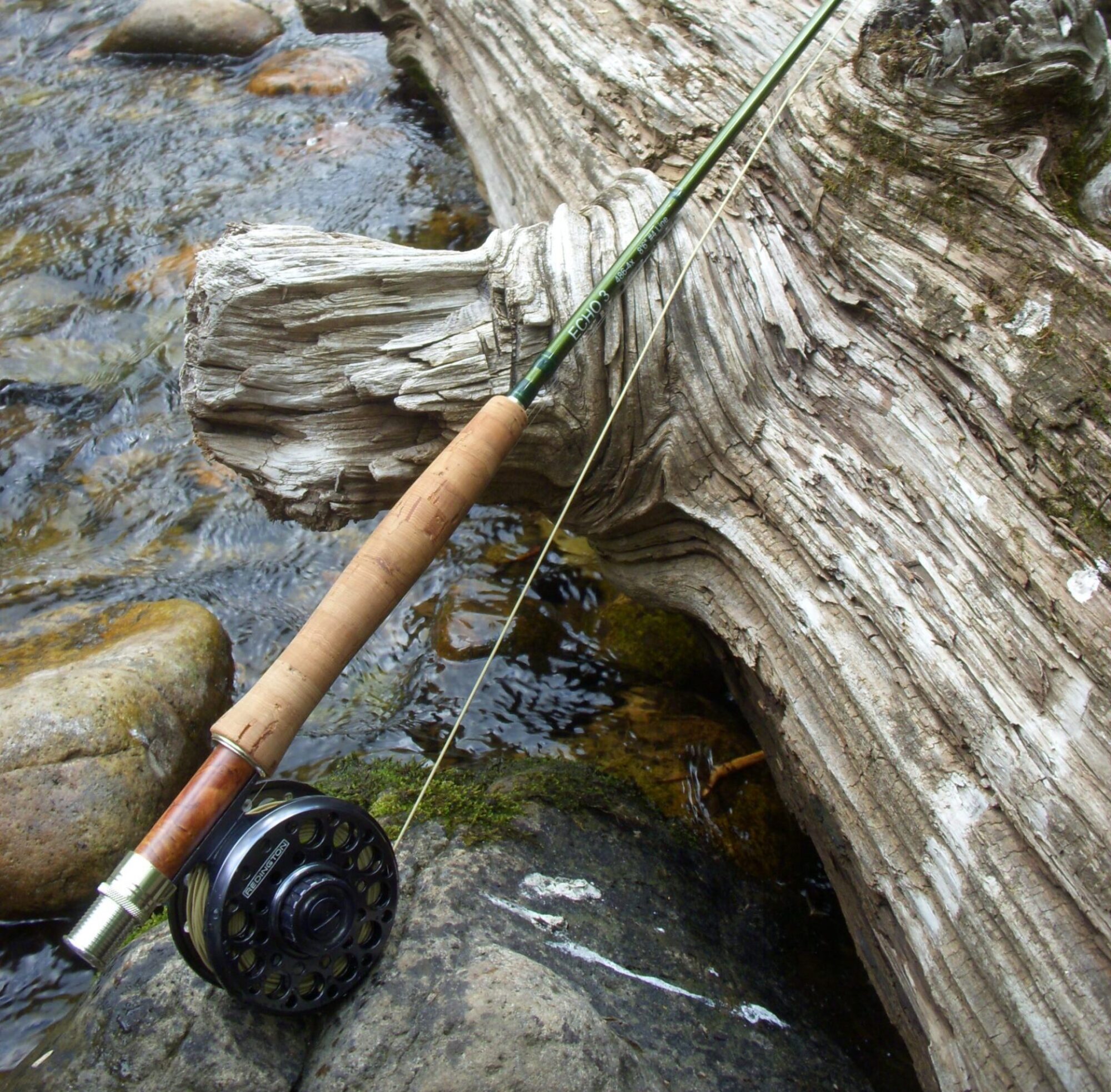 Fly fishing lessons on the Pecos River