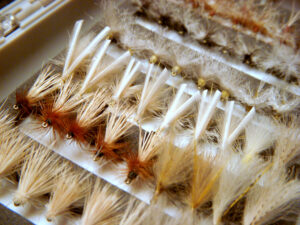 Fly box of instructor tied trout flies