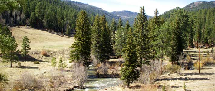 Friends and Affilations - Santa Fe Fly Fishing School